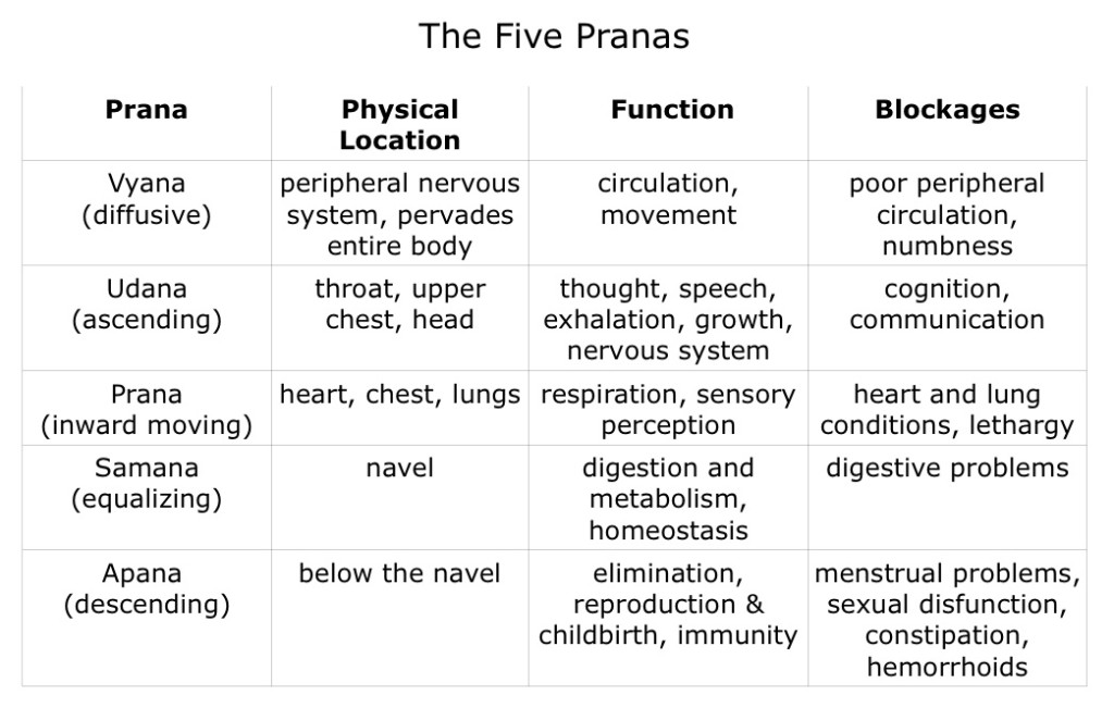 Exploring the Pancha Prana of Five Vayus