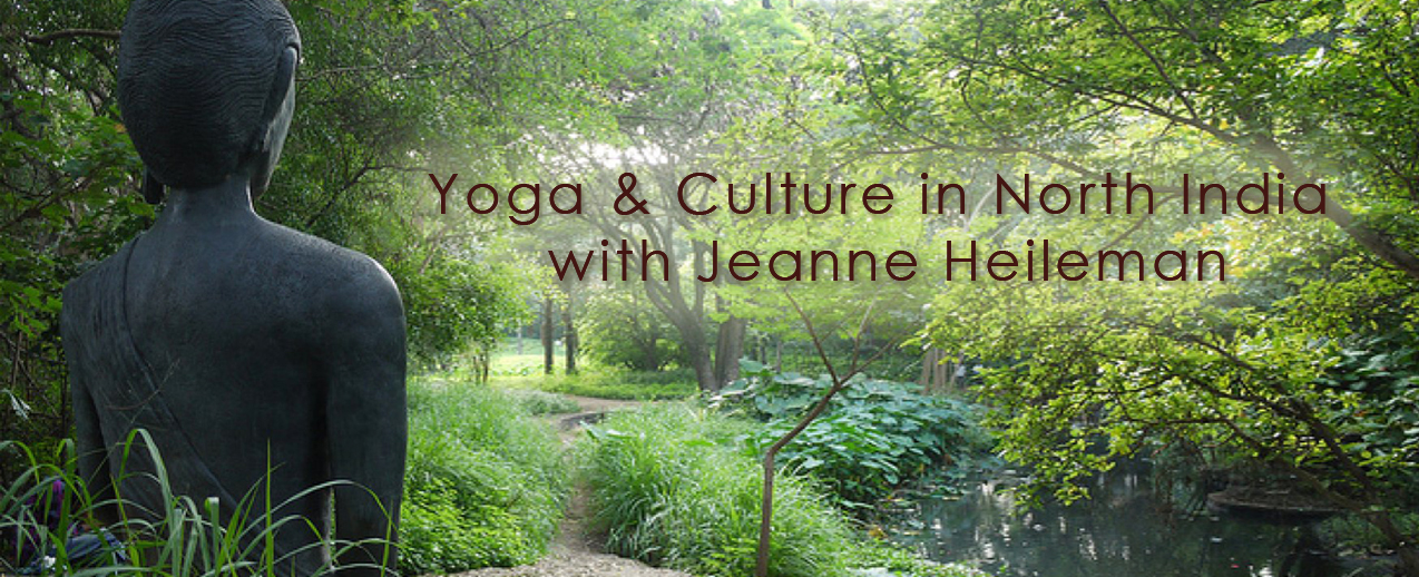 Yoga & Culture: India January 2015