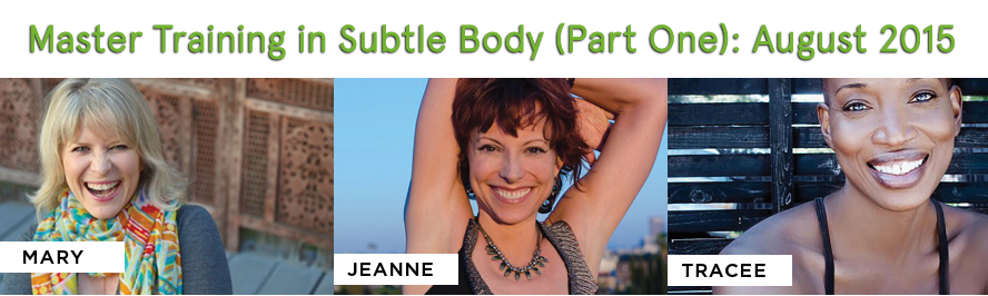 Master Training in Subtle Body (Part One): August 2015