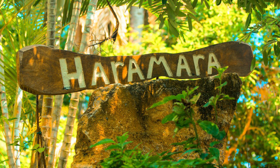 Yoga in Mexico with Jeanne Heileman: Haramara Retreat