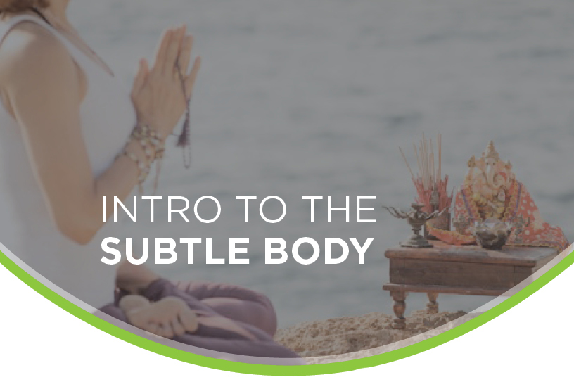 Introduction to the Subtle Body: New York, January 2016