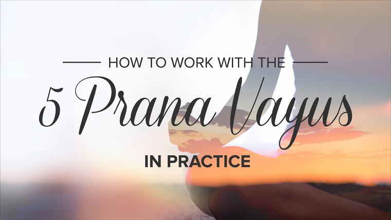 How to Work With the 5 Prana Vayus in Practice - Jeanne Heileman